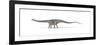 Diplodocus Dinosaur on White Background-null-Framed Art Print