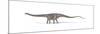 Diplodocus Dinosaur on White Background-null-Mounted Art Print