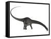 Diplodocus Dinosaur with Head Down-Stocktrek Images-Framed Stretched Canvas