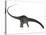 Diplodocus Dinosaur with Head Down-Stocktrek Images-Stretched Canvas