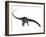 Diplodocus Dinosaur with Head Down-Stocktrek Images-Framed Art Print