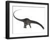 Diplodocus Dinosaur with Head Down-Stocktrek Images-Framed Art Print