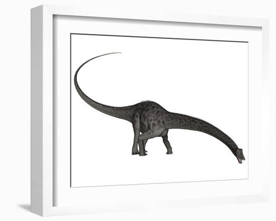 Diplodocus Dinosaur with Head Down-Stocktrek Images-Framed Art Print