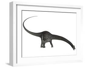 Diplodocus Dinosaur with Head Down-Stocktrek Images-Framed Art Print