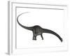 Diplodocus Dinosaur with Head Down-Stocktrek Images-Framed Art Print