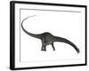 Diplodocus Dinosaur with Head Down-Stocktrek Images-Framed Art Print