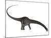 Diplodocus Dinosaur with Head Down-Stocktrek Images-Mounted Art Print