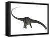 Diplodocus Dinosaur with Head Down-Stocktrek Images-Framed Stretched Canvas