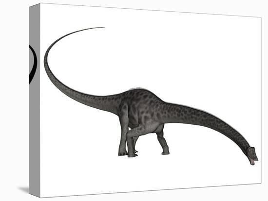 Diplodocus Dinosaur with Head Down-Stocktrek Images-Stretched Canvas