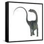 Diplodocus Dinosaur-Stocktrek Images-Framed Stretched Canvas