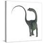 Diplodocus Dinosaur-Stocktrek Images-Stretched Canvas