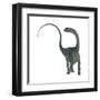 Diplodocus Dinosaur-Stocktrek Images-Framed Art Print