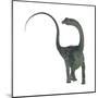 Diplodocus Dinosaur-Stocktrek Images-Mounted Art Print