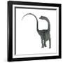 Diplodocus Dinosaur-Stocktrek Images-Framed Art Print