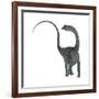 Diplodocus Dinosaur-Stocktrek Images-Framed Art Print