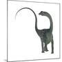 Diplodocus Dinosaur-Stocktrek Images-Mounted Art Print