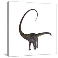Diplodocus Dinosaur-Stocktrek Images-Stretched Canvas