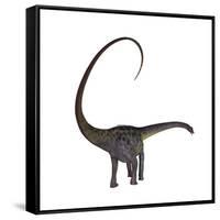 Diplodocus Dinosaur-Stocktrek Images-Framed Stretched Canvas