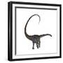 Diplodocus Dinosaur-Stocktrek Images-Framed Premium Giclee Print