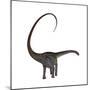 Diplodocus Dinosaur-Stocktrek Images-Mounted Premium Giclee Print