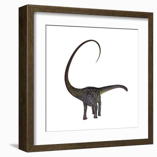 Diplodocus Dinosaur-Stocktrek Images-Framed Art Print