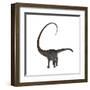 Diplodocus Dinosaur-Stocktrek Images-Framed Art Print