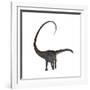 Diplodocus Dinosaur-Stocktrek Images-Framed Art Print