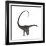 Diplodocus Dinosaur-Stocktrek Images-Framed Art Print