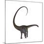 Diplodocus Dinosaur-Stocktrek Images-Mounted Art Print