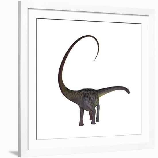 Diplodocus Dinosaur-Stocktrek Images-Framed Art Print