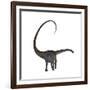 Diplodocus Dinosaur-Stocktrek Images-Framed Art Print