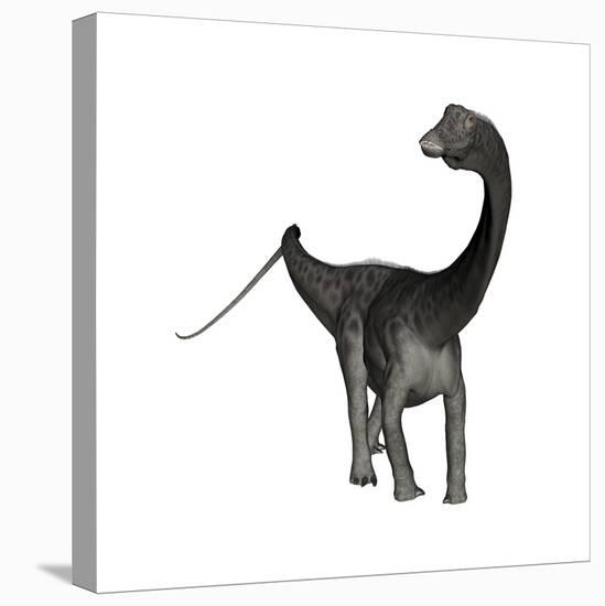 Diplodocus Dinosaur-Stocktrek Images-Stretched Canvas