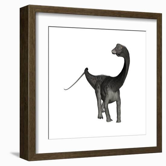 Diplodocus Dinosaur-Stocktrek Images-Framed Art Print