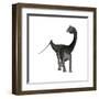 Diplodocus Dinosaur-Stocktrek Images-Framed Art Print