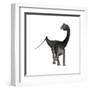 Diplodocus Dinosaur-Stocktrek Images-Framed Art Print