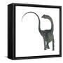 Diplodocus Dinosaur-Stocktrek Images-Framed Stretched Canvas