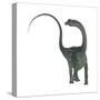 Diplodocus Dinosaur-Stocktrek Images-Stretched Canvas