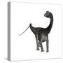 Diplodocus Dinosaur-Stocktrek Images-Stretched Canvas