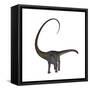 Diplodocus Dinosaur-Stocktrek Images-Framed Stretched Canvas