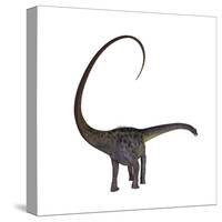 Diplodocus Dinosaur-Stocktrek Images-Stretched Canvas