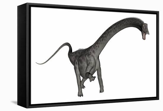 Diplodocus Dinosaur-Stocktrek Images-Framed Stretched Canvas