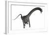 Diplodocus Dinosaur-Stocktrek Images-Framed Art Print