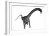 Diplodocus Dinosaur-Stocktrek Images-Framed Art Print