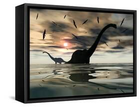 Diplodocus Dinosaurs Bathe in a Large Body of Water-Stocktrek Images-Framed Stretched Canvas