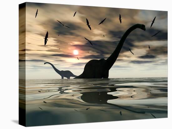 Diplodocus Dinosaurs Bathe in a Large Body of Water-Stocktrek Images-Stretched Canvas