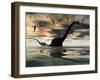 Diplodocus Dinosaurs Bathe in a Large Body of Water-Stocktrek Images-Framed Photographic Print