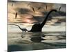 Diplodocus Dinosaurs Bathe in a Large Body of Water-Stocktrek Images-Mounted Photographic Print