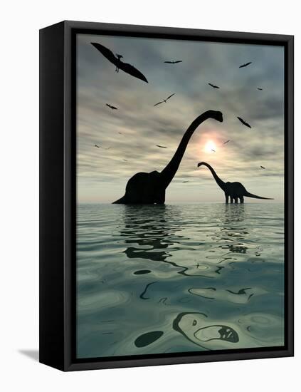 Diplodocus Dinosaurs Bathe in a Large Body of Water-Stocktrek Images-Framed Stretched Canvas