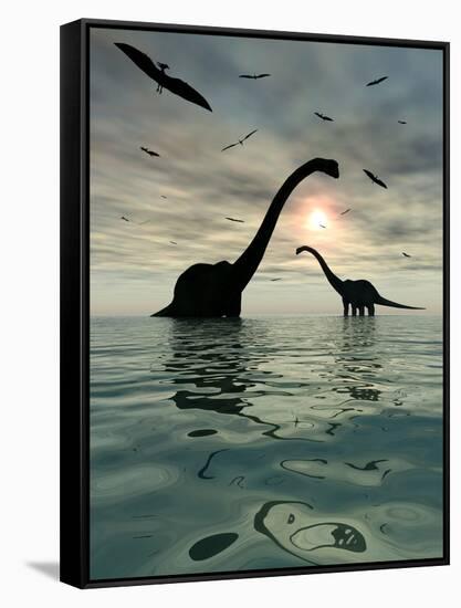 Diplodocus Dinosaurs Bathe in a Large Body of Water-Stocktrek Images-Framed Stretched Canvas