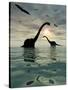 Diplodocus Dinosaurs Bathe in a Large Body of Water-Stocktrek Images-Stretched Canvas